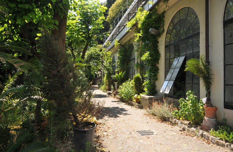 Orto Botanico di Genova, Genoa, Italy, Italy